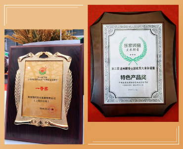 德芳大米荣获全国优质大米争霸赛特色产品奖和现代农业一等奖