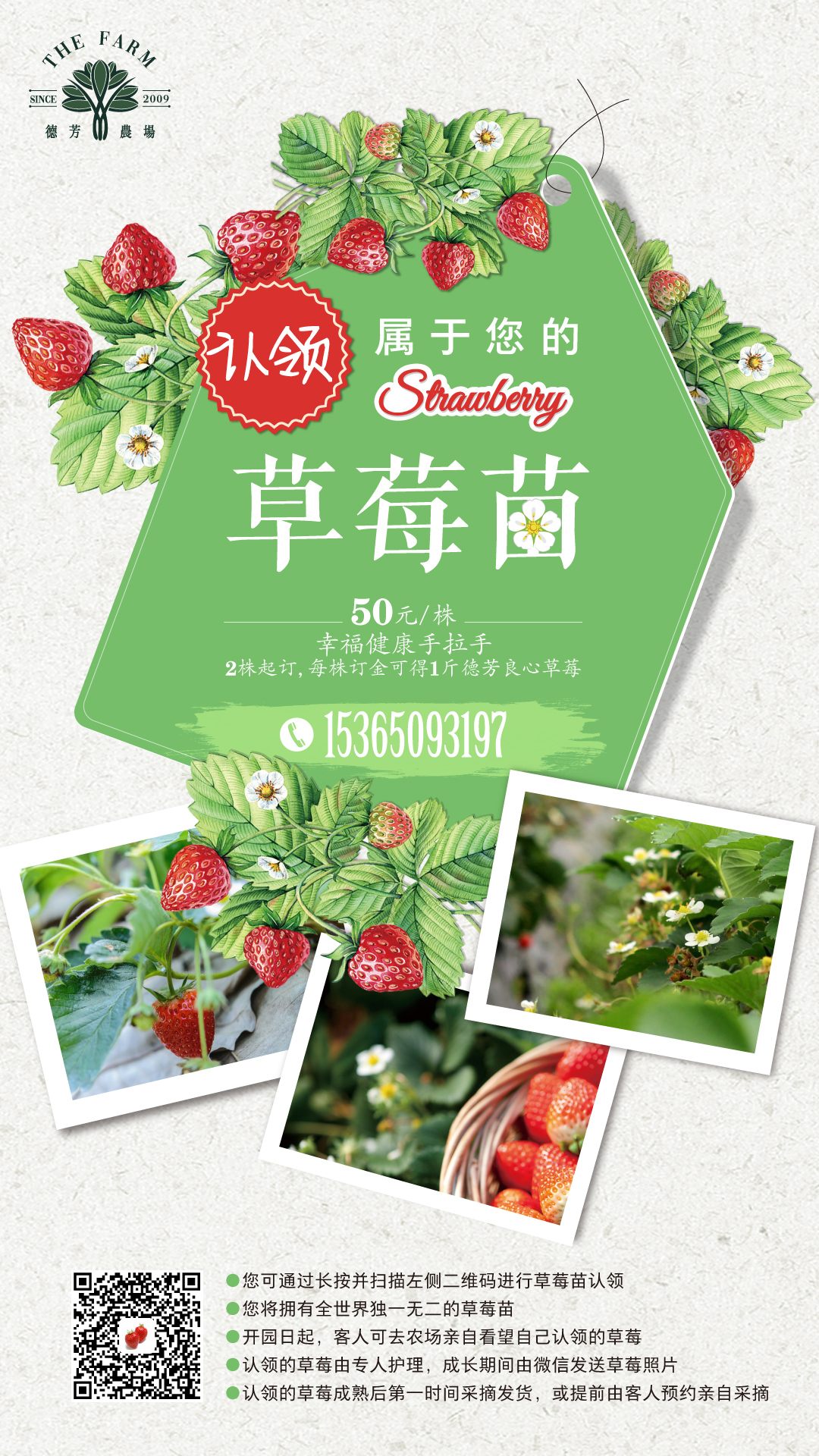草莓苗电子版2.jpg