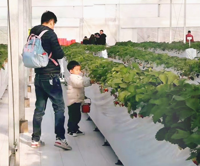 ccm2019-2_副本.jpg ccm2019-2_副本.jpg