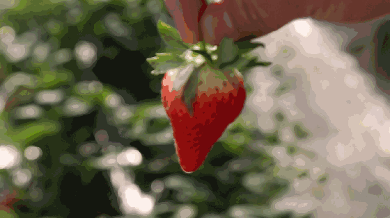 640(2).gif